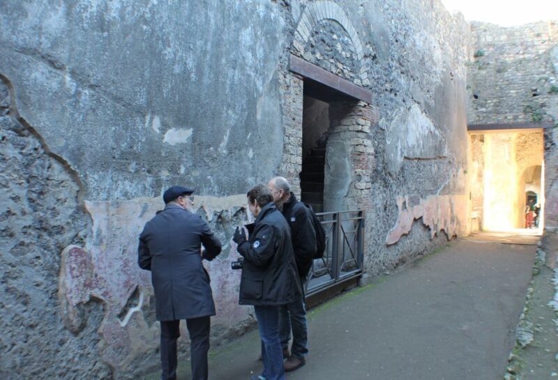 Pompeii: Skip-The-Line Group Tour With Archaeologist - Participant Information