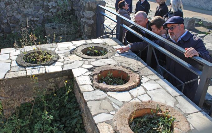 Pompeii: Skip-The-Line Group Tour With Archaeologist - Expert Archaeologist Guidance