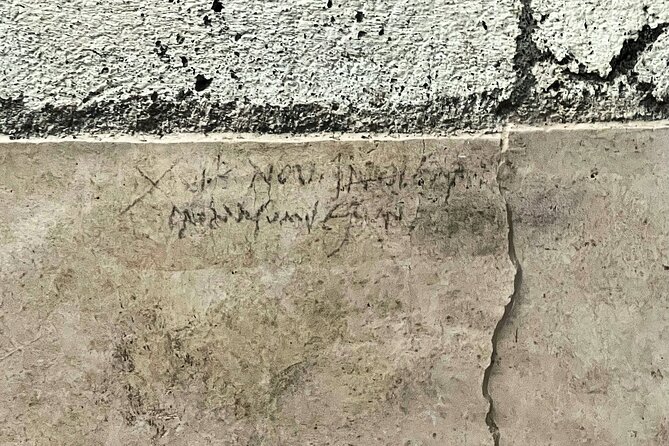 Pompeii Skip-The-Line Private Tour - Inclusions