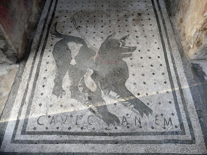 Pompeii: Skip-the-line-Ticket and Guided Tour - Key Points