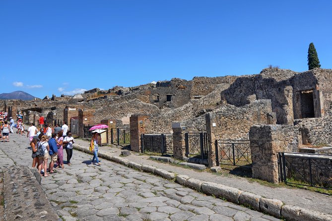 Pompeii: Skip-The-Line-Ticket With Guided Tour - Learning About Pompeiis Frozen History