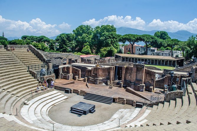 Pompeii: Skip-The-Line-Ticket With Guided Tour - Accessibility and Logistics Details