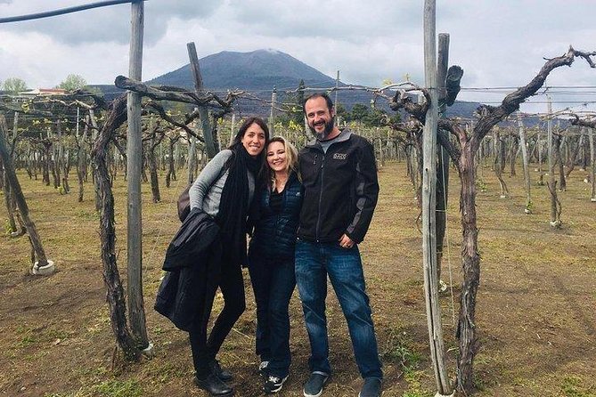 Pompeii Skip-The-Line With Lunch&Winetasting From Naples Cruise Port - Transportation and Driver