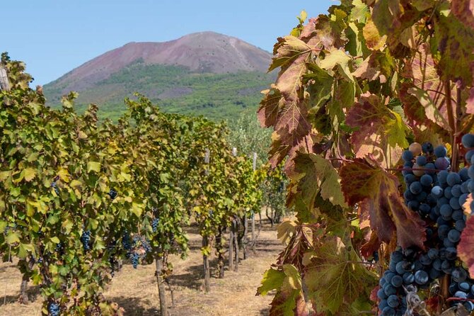 Pompeii Skiptheline With Lunch&Winetasting From Naples Cruise Port - Tour Options and Pricing