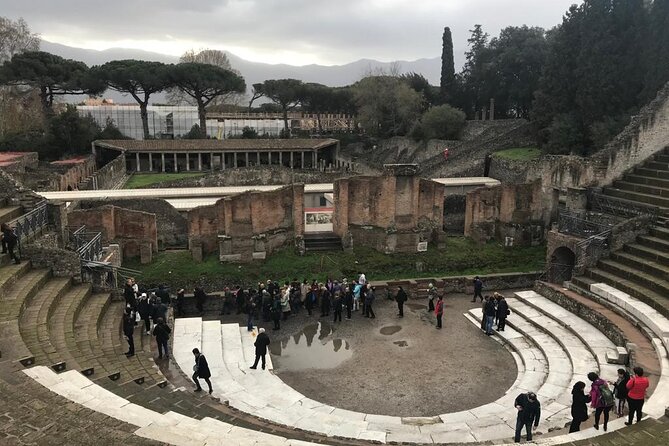 Pompeii - Small Group Tour - Inclusions and Accessibility