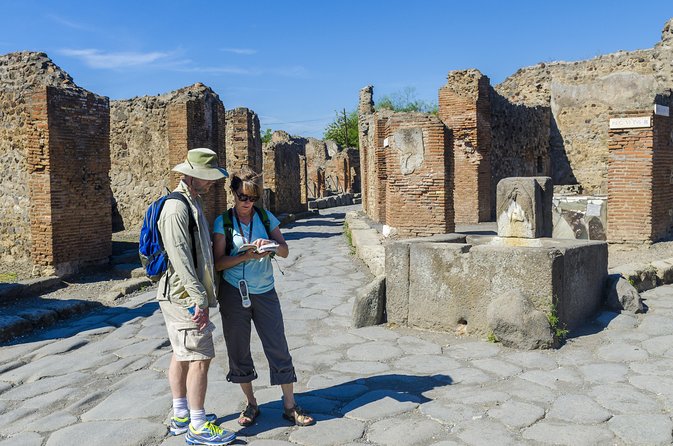 Pompeii Small Group Tour With an Archaeologist - Review Highlights and Ratings