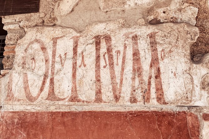 Pompeii Small Group With an Archaeologist and Skip the Line - Accessibility
