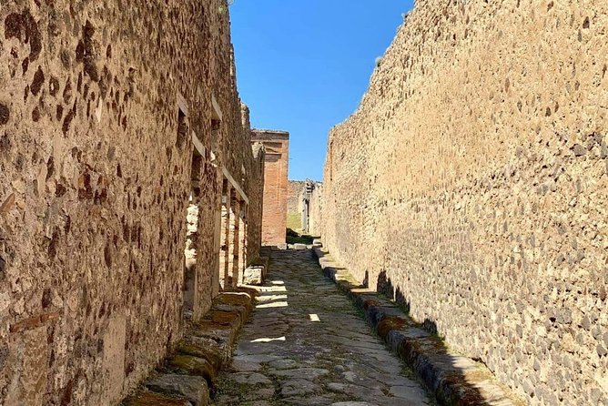 Pompeii the Buried City - Witnessing Pompeiis Dramatic Fate