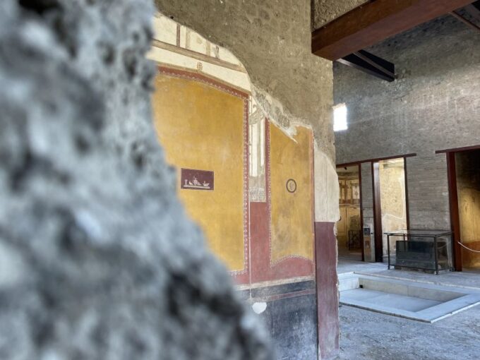 Pompeii & the House of Vettii - Meeting Point and Requirements