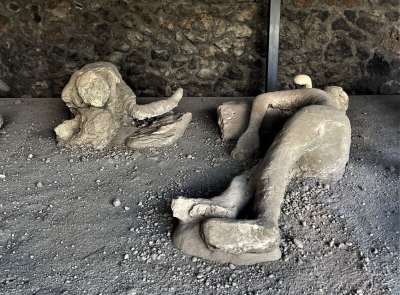 Pompeii : Theaters and the Garden of Fugitives - Key Points