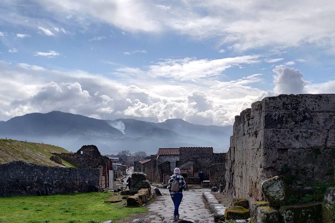 Pompeii to Vesuvius Tour With Skip-The-Line Tickets to Ruins & Volcanic Crater - Recap