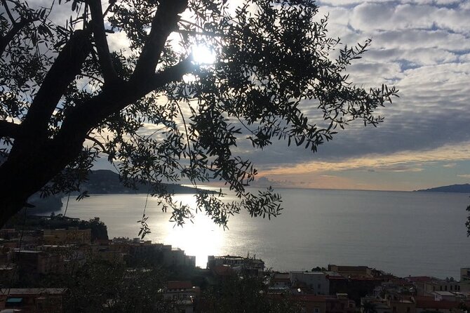 POMPEII TOUR - From Sorrento or Naples (Private Van) - Provider Information