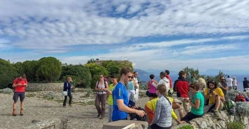 Pompeii Tour Guide Driver and Ticket - Booking Details