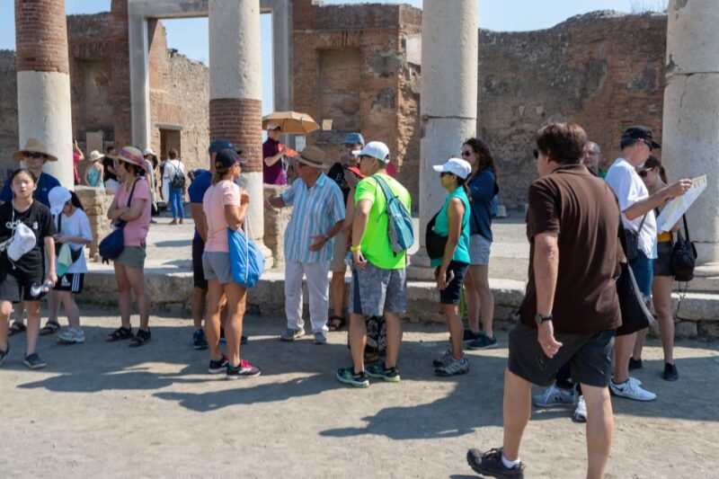 Pompeii Tour Guide Driver and Ticket - Exploring Pompeii