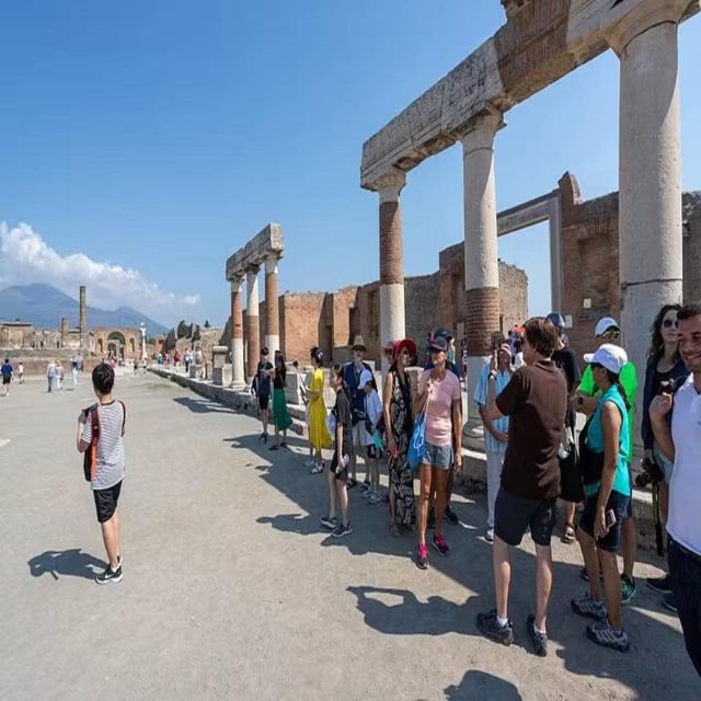 Pompeii Tour Guide Driver and Ticket - Uncovering Roman Civilization