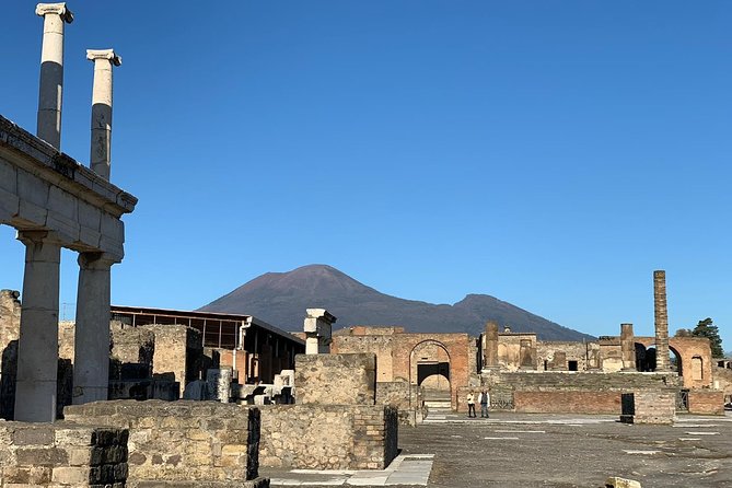 Pompeii Tour + Wine & Food Tasting at Mt. Vesuvius - Tour Highlights