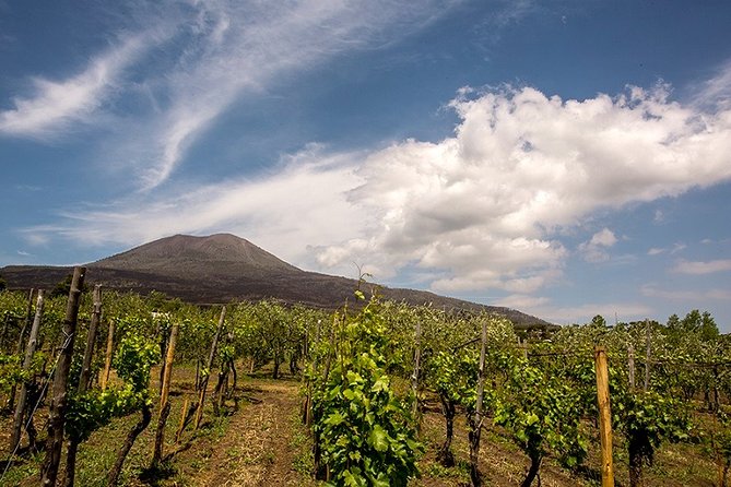 Pompeii Tour + Wine & Food Tasting at Mt. Vesuvius - Accessibility and Transportation