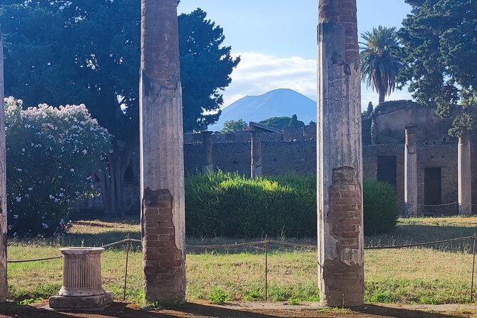 Pompeii: Tour With Archaeologist Guide & Skip-The-Line Entry - Pricing and Cancellations