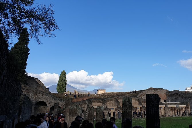 Pompeii Tour With Entrance Ticket! - Meeting and Accessibility