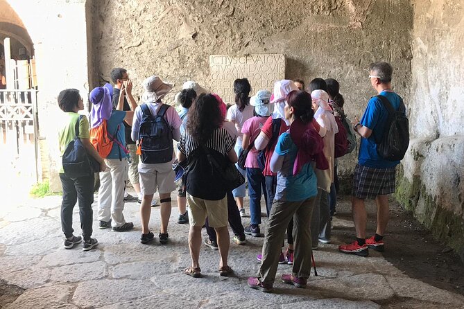 Pompeii Tour With Experienced Guide - Explore Pompeiis Rich History