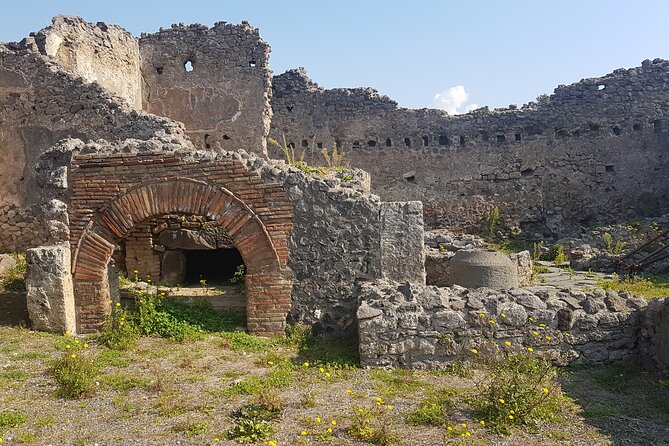 Pompeii Tour With Experienced Guide - Guided Tour Highlights
