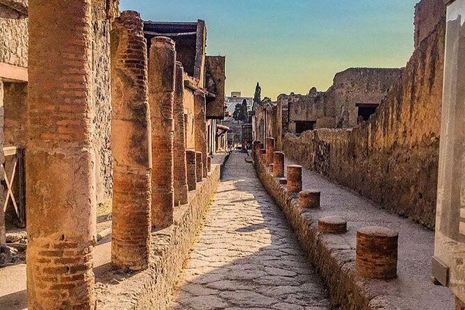 Pompeii Tour With Lunch and Wine Tasting From Positano - Health and Accessibility Information