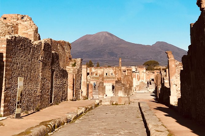 Pompeii Tour With Ticket INCLUDED and Expert Guide - Tour Highlights