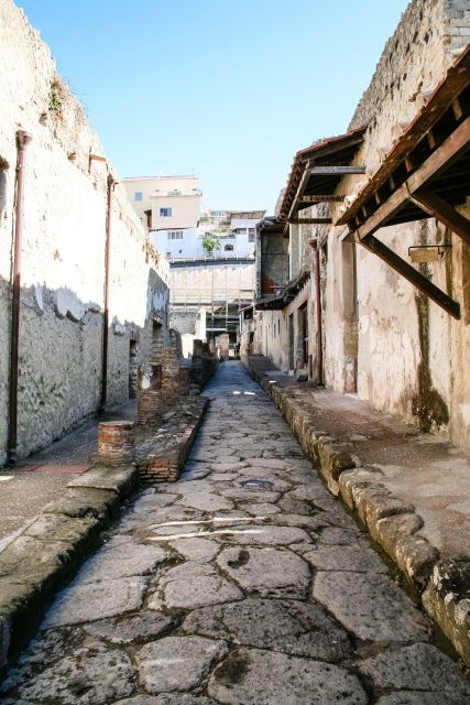 Pompeii, Vesuvius and Herculaneum Tour - Cultural Highlights