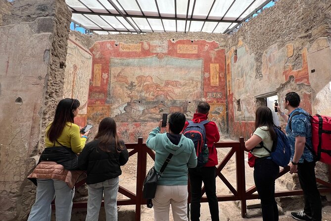 Pompeii Vesuvius Day Tour From Naples With Italian Lunch and Wine - Pickup Information and Logistics