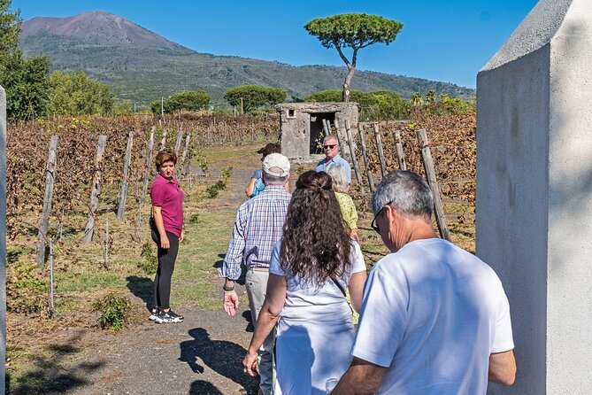 Pompeii Vesuvius Day Tour From Naples With Italian Lunch and Wine - Tips for a Successful Visit