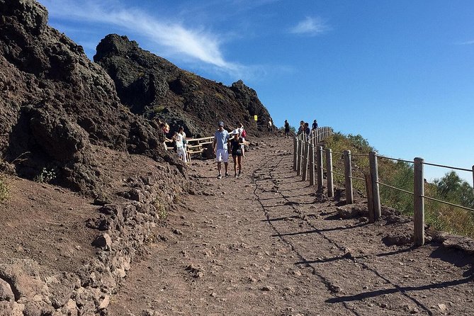 Pompeii Vesuvius Day Trip From Naples+Italian Light Lunch - Inclusions in the Tour Package