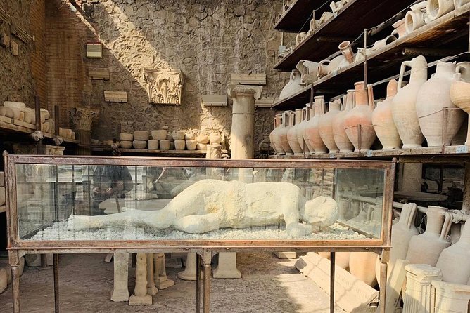 Pompeii & Vesuvius Entrance Fees Included - Daily From Sorrento - Tour Capacity and Reviews