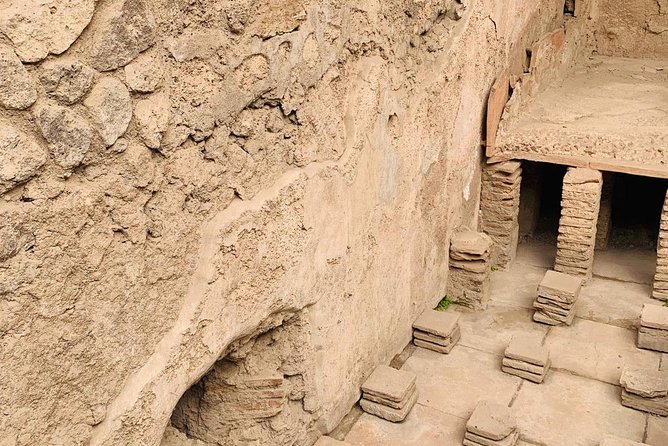 Pompeii & Vesuvius Entrance Fees Included - Daily From Sorrento - Transportation and Guides