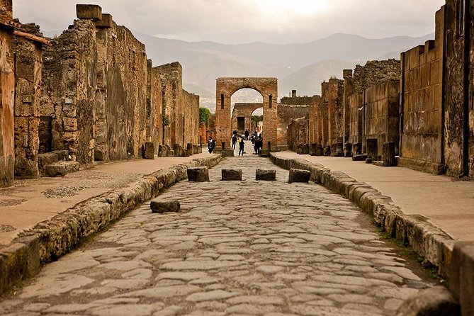Pompeii & Vesuvius Entrance Fees Included - Daily From Sorrento - Organized Experience