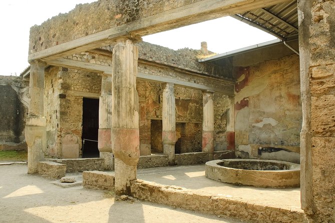 Pompeii, Vesuvius, Wine Tasting and Light Lunch All Inclusive - Hiking Mount Vesuvius