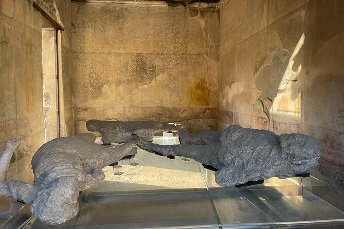 Pompeii, Vesuvius & Wine Tasting From Positano All Inclusive - Traveler Feedback