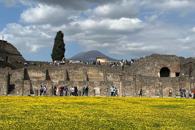 Pompeii Walking Tour (2hrs) - Tour Inclusions and Accessibility