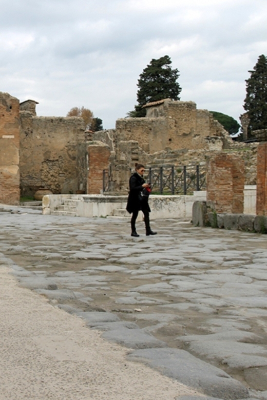 Pompeii Wheelchair Accessible Private Tour - Accessibility Features
