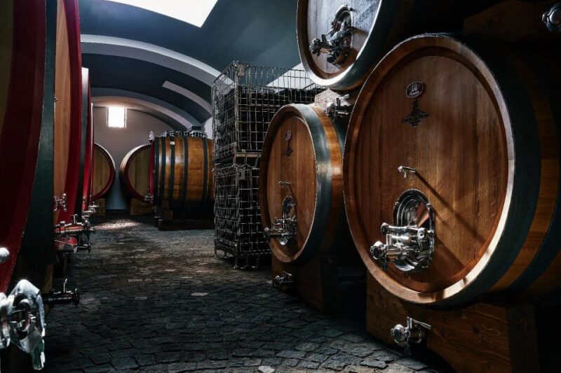 Pompeii & Wine Tasting From Naples - Highlights of the Tour