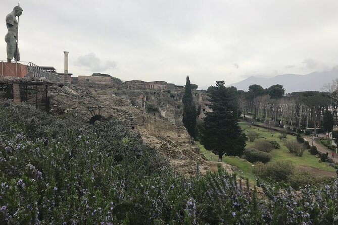 Pompeii Wine Tasting Tour From Positano - Meeting and Pickup