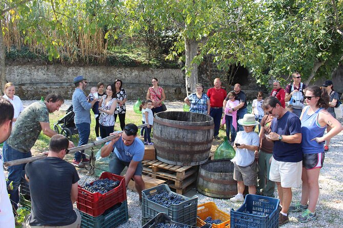 Pompeii Wine Tasting Tour From Positano - Accessibility