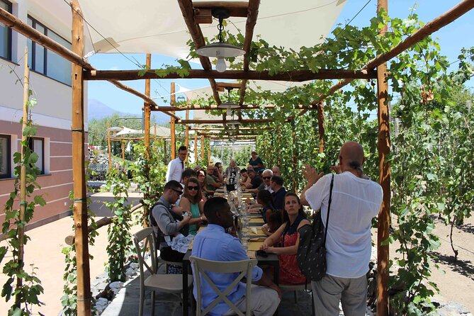 Pompeii Wine Tasting Tour From Positano - Historical Significance of Pompeii