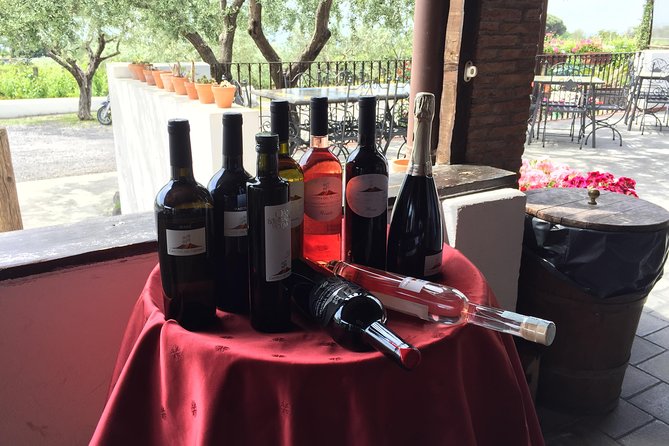 Pompeii-Wine Tasting Tour From Sorrento, Licensed Guide Included - Pickup Information
