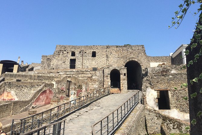 Pompeii-Wine Tasting Tour From Sorrento, Licensed Guide Included - Exploring Pompeii