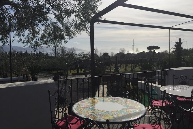 Pompeii-Wine Tasting Tour From Sorrento, Licensed Guide Included - Highlights of the Tour
