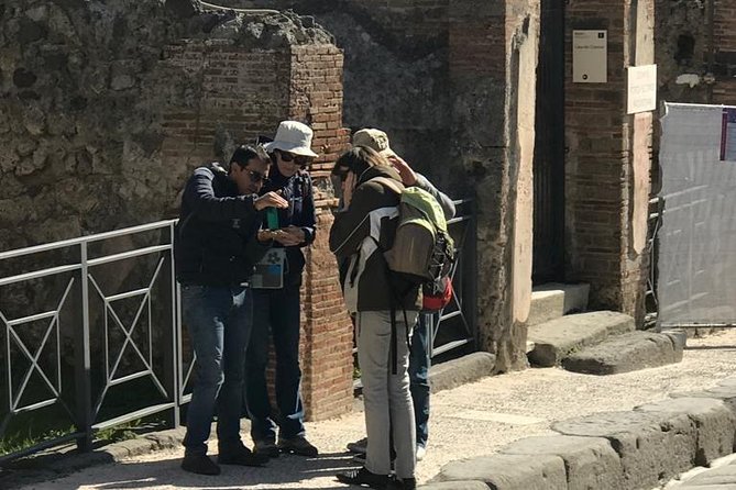 Pompeii With an Archaeologist, 3h Detailed Visit ... - Accessibility