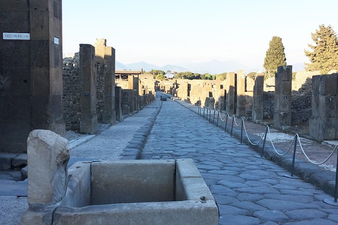 Pompeii With an Archaeologist, 3h Detailed Visit ... - Additional Information
