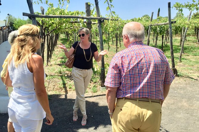 Pompeii With Lunch and Wine Tasting - Recap