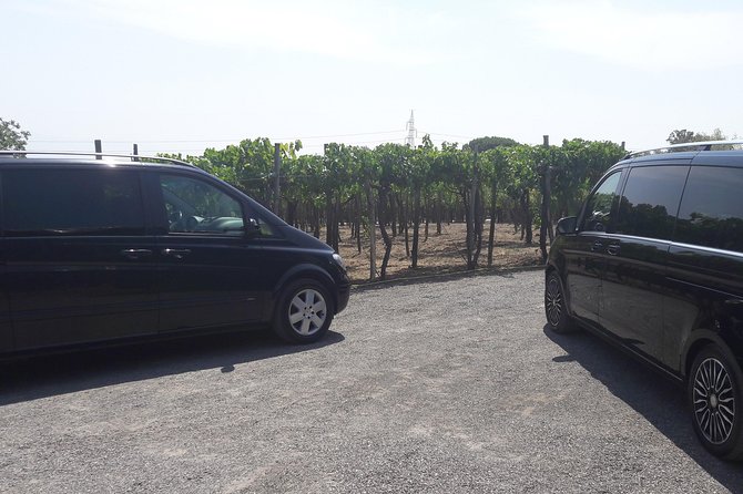 Pompeii,Naples and Pizza Private Tour - Transportation and Logistics