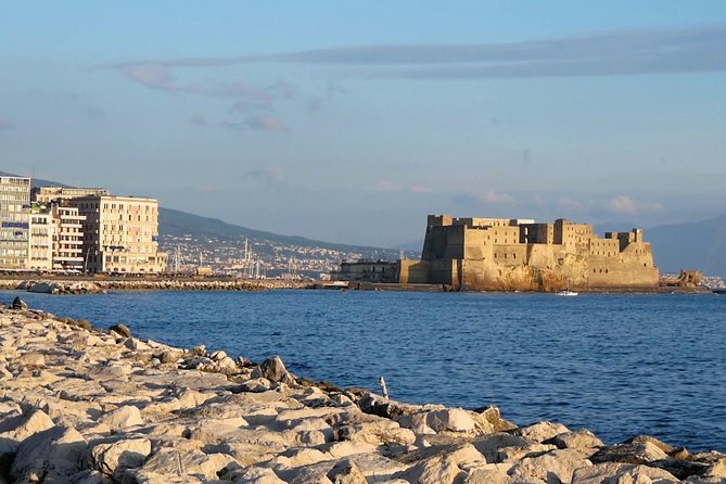Pompeii,Naples and Pizza Private Tour - Confirmation and Participant Eligibility